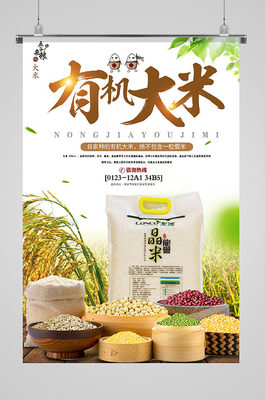 大米杂粮海报大米杂粮海报设计素材-大米杂粮海报模板