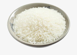 金乐源黑龙江大米粳米珍珠米10斤 寿司米专用米新米东北大米5kg