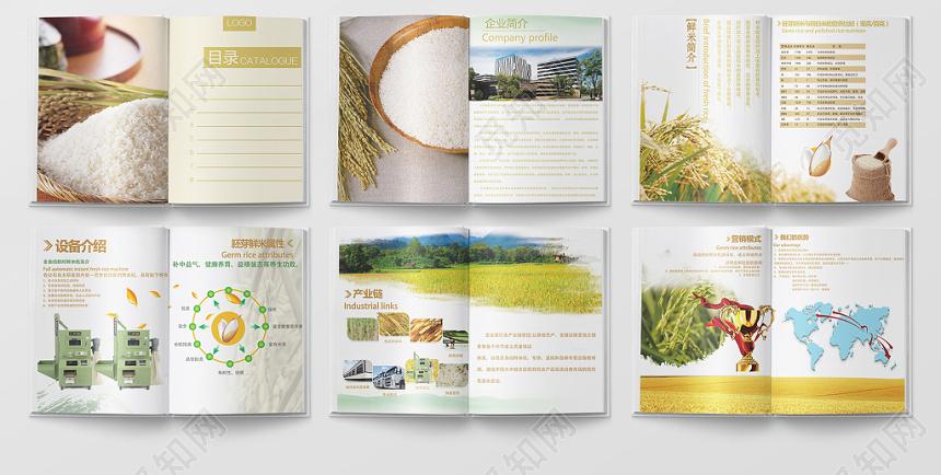 绿色大气大米农产品公司产品画册宣传册